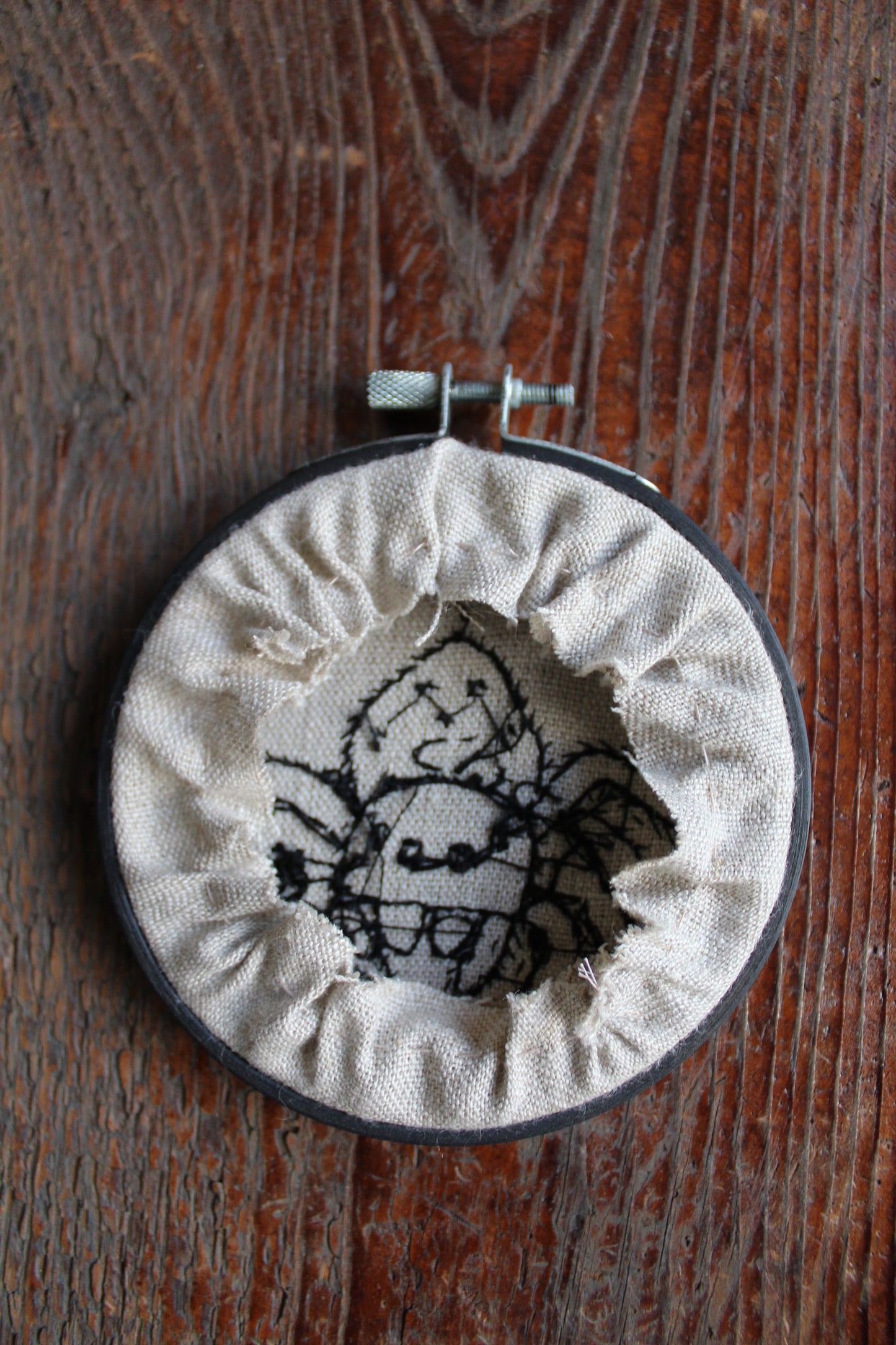 Jumping spider embroidery, back hoop art